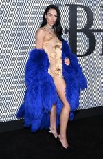 AMELIA HAMLIN at The Beauty Premiere at Museum of Modern Art in New York City 01/14/2026