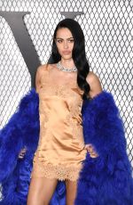 AMELIA HAMLIN at The Beauty Premiere at Museum of Modern Art in New York City 01/14/2026