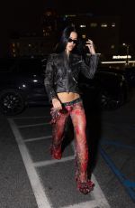 AMELIA HAMLIN Night Out in Los Angeles 01/22/2026