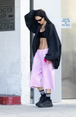 AMELIA HAMLIN Out Makeup-free in Los Angeles 01/26/2026