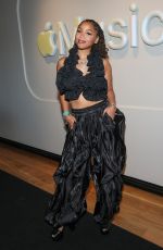 CHLOE BAILEY at VERZUZ: Mike WiLL Made-It vs. Hit-Boy at Apple Music Studios in Los Angeles 01/30/2026