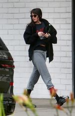 DAKOTA JOHNSON Arrives at Tracy Anderson Gym in Studio 01/07/2026