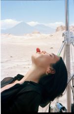 DUA LIPA - YSL Libre Berry Crush 2026 Campaign
