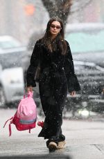 EMILY RATAJKOWSKI Braves Snow To Go Out for Lunch in New York City 01/17/2026