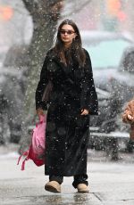 EMILY RATAJKOWSKI Braves Snow To Go Out for Lunch in New York City 01/17/2026