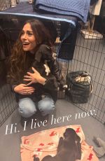 SARAH SHAHI - Instagram Photos 01/30/2026