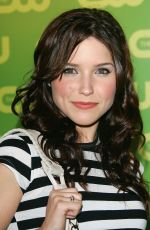 SOPHIA BUSH at CW 2006-2007 Prime Time Preview 05/18/2006