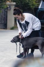 BILLIE EILISH Takes Her Dog for a Walk in Los Angeles 02/03/2026