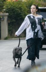 BILLIE EILISH Takes Her Dog for a Walk in Los Angeles 02/03/2026