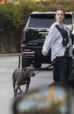 BILLIE EILISH Takes Her Dog for a Walk in Los Angeles 02/03/2026