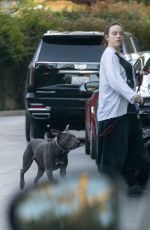 BILLIE EILISH Takes Her Dog for a Walk in Los Angeles 02/03/2026