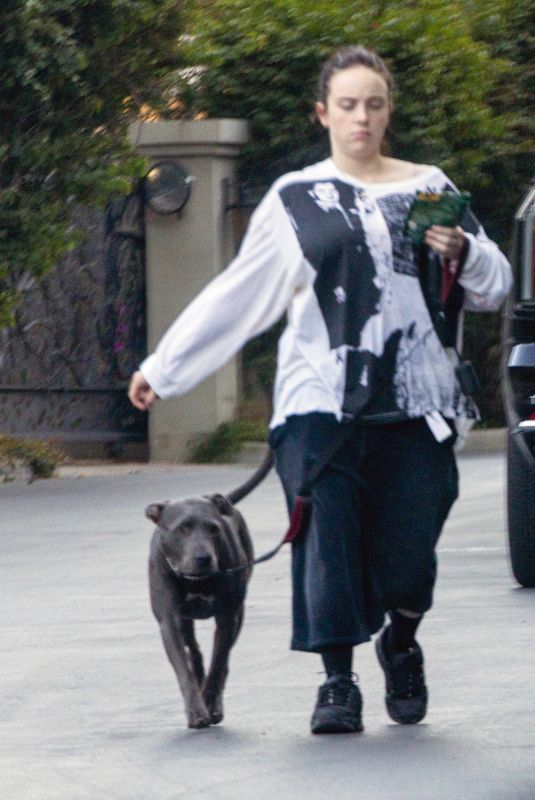 BILLIE EILISH Takes Her Dog for a Walk in Los Angeles 02/03/2026