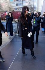 DAKOTA JOHNSON Arrives at Calvin Klein Fashion Show at NYFW in New York City 02/13/2026