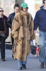 DUA LIPA and Callum Turner Out with Their Dog in Paris 02/21/2026