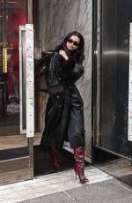EMILY RATAJKOWSKI Out and About in New York City 02/06/2026
