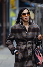 FAMKE JANSSEN Out in New York City 02/19/2026