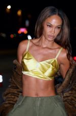 JOAN SMALLS Arrives at Marc Jacobs 2026 Runway Show in New York City 02/09/2026