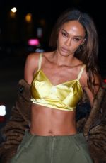 JOAN SMALLS Arrives at Marc Jacobs 2026 Runway Show in New York City 02/09/2026