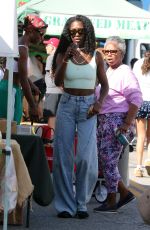 JODIE TURNER-SMITH Out Shopping at Studio City Farmer