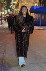 JORDYN WOODS Arrives at Knicks Game in New York City 02/10/2026