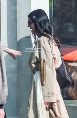 KENDALL JENNER Out Shopping at Galerie Half on Melrose Boulevard in Los Angeles 02/06/2026