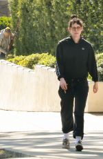 KRISTEN STEWART Out and About in Los Feliz 02/06/2025