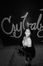 NAAZ TORBATI - Instagram Photos 02/24/2026