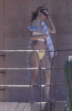 OLIVIA WILDE in Bikini at a Beach in Mexico 02/11/2026
