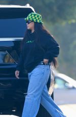 RIHANNA Out and About in Los Angeles 02/02/2026
