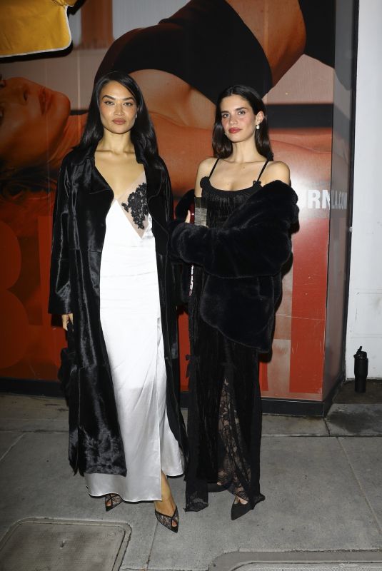 SHANINA SHAIK and SARA SAMPAIO Out for Dinner at Alba Restaurant in Los Angeles 02/20/2026