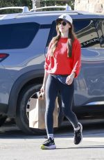 ALISON BRIE at a Grocery Run at Gelson