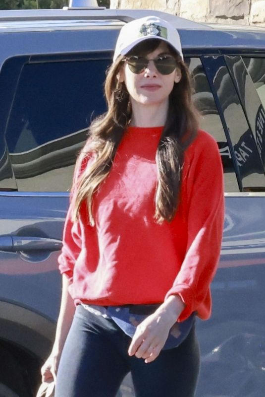 ALISON BRIE at a Grocery Run at Gelson