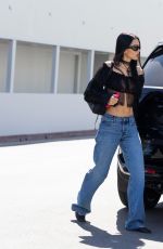 AMELIA HAMLIN Out Shopping on Rodeo Drive 03/17/2026