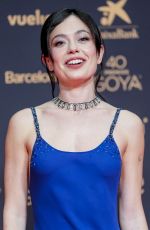ANNA CASTILLO at 40th Goya Cinema Awards in Barcelona 02/28/2026