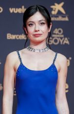 ANNA CASTILLO at 40th Goya Cinema Awards in Barcelona 02/28/2026