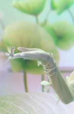 ARIANA GRANDE for Swarovski
