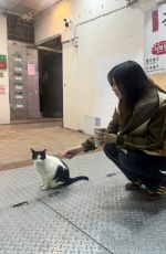 GEMMA CHAN - Instagram Photos 03/28/2026