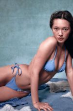 LILY CHEE for Dipped in Blue Bikinis 2026