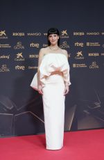 NATALIA DE MOLINA at 40th Goya Cinema Awards in Barcelona 02/28/2026