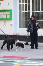 NINA DOBREV Out with Her Dog in New York City 03/18/2026