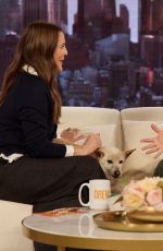 AMANDA PEET at Drew Barrymore Show 03/31/2026