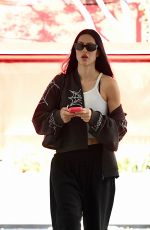 AMELIA HAMLIN Out and About in Beverly Hills 04/02/2026