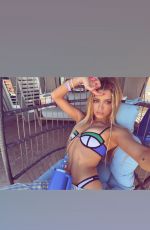 DIXIE D