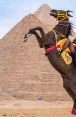 FARRAH ABRAHAM at Great Pyramid of Giza in Egypt 02/26/2026