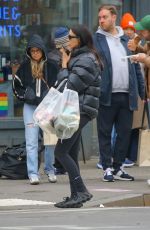 IRINA SHAYK Out for Grocery Run in New York City 04/02/2026