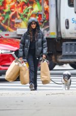 NINA DOBREV Out Shopping with Her Dog in New York City 04/02/2026