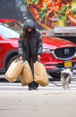 NINA DOBREV Out Shopping with Her Dog in New York City 04/02/2026