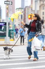 NINA DOBREV Out with Her Dog in New York City 04/04/2026