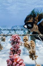 OLIVIA PONTON for Coral Gardeners in Tahiti, April 2026