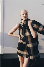 ALEX CONSANI in Harper